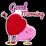 Good morning and goodnight