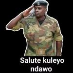 Salute kuleyo ndawo
