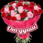 Альбина Багаева