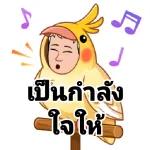 ดาวน์โหลดฟรี