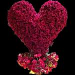 انتري الحلو