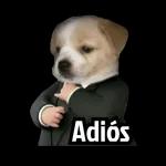 Meme de gato y perro