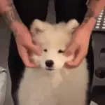 valla 