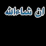 أكرمك الله BAZAAR T