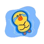 stickr