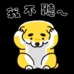 SHIBANBAN微笑柴犬-寶寶逃避現實