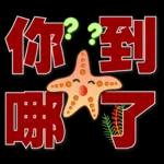 可愛海星 2