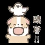 天竺鼠布丁～～超可愛鴨