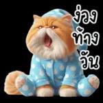 แมวขี้โมโหในชุดนอนสีอ่อน