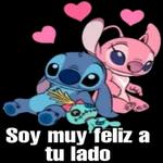 stich