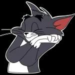 Tom and Jerry
                            Liza Fomushkina