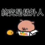 小水豚（諧音梗篇）