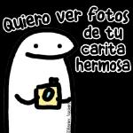 Flork