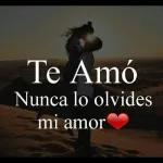 Te Amó Nunca lo olvides mi amor