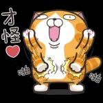 白爛貓11☆超級萌☆