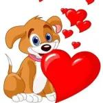 love you