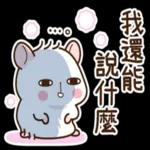 倉鼠阿暖＜春天＞ 2