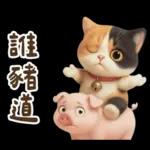 花貓超可愛諧音梗