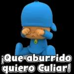 jajaja todo pendejo