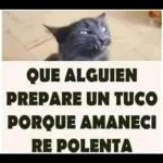 jorge 4