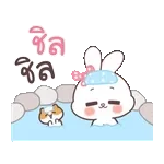หนูแฮมสเตอร์ตัวน้อย