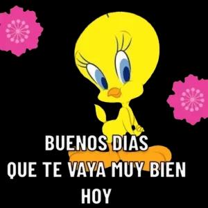 GDslLT