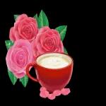 Wünsche euch ein schönen Tag Guten Morgen