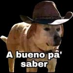 ००००००० ESTA LLOVIENDO 