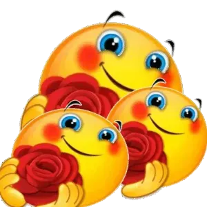 Dvrxg8
