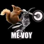 No se te quita pendejo