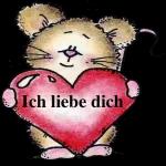 Guten Morgen