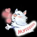 Blue Cats
                            Rina Zenyuk