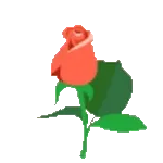 alarm clock and you🌈