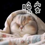 折耳貓貓 ❤ 給你一個讚 ❤