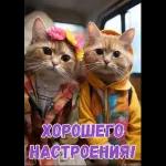 тоио