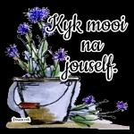 Drukkie
vir jou
