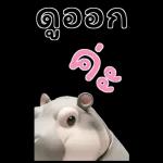ฮิปโปรักดึงดงบิ๊ก