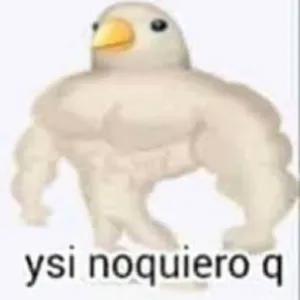 wEQGPK