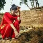 خلاص اخر مرة