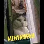 Forwarded
Oo ye ke
10:50 PM ✓