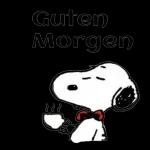 Guten Morgen