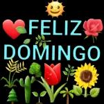 feliz domingo