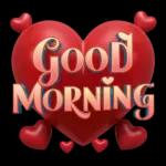 good morning and night