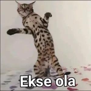 Ekse ola - getsticker.com