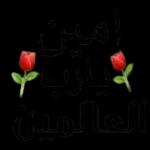 بسيطة