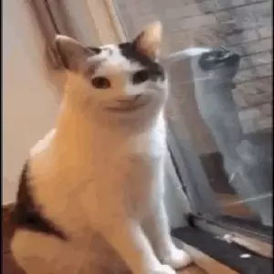 hgTYNu