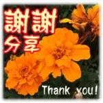 感恩！謝謝分享！你最好了