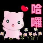 可愛粉粉貓- 常用語