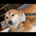 Qué se sentirá ser feo?