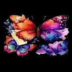 butterfly🥰